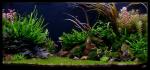 Fasciatum : Le Jardin D\'Emeraude