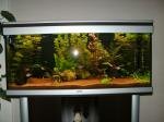Aquatlantis Ambiance 101 de gummi