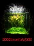 nano 10litre de nowak04