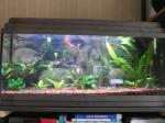 Aquarium 96L de Aquaur21