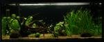 Mon Aquarium Communautaire de Itarilda