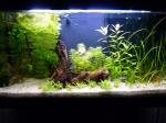 aquadream 80 de maxmau