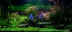 Amazonia 360L