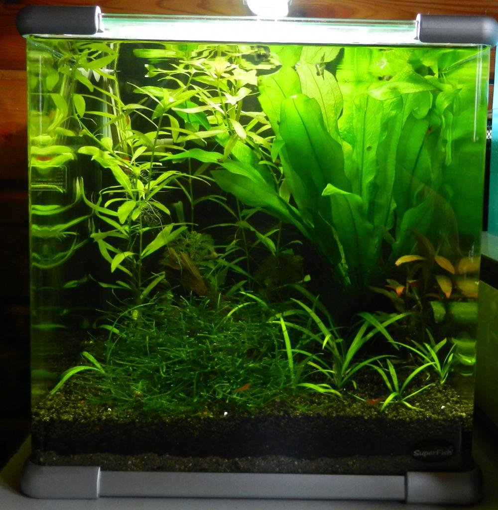 Nano 25l de Leilus