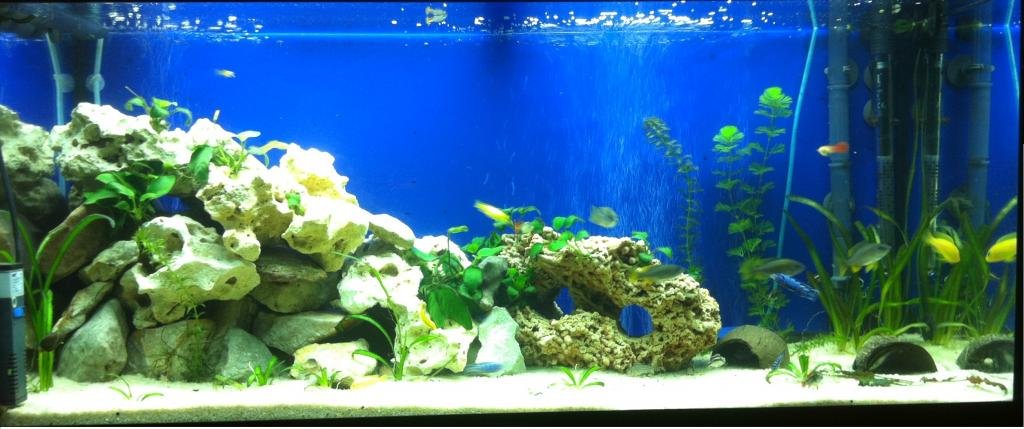 Malawiland de Mathieu72