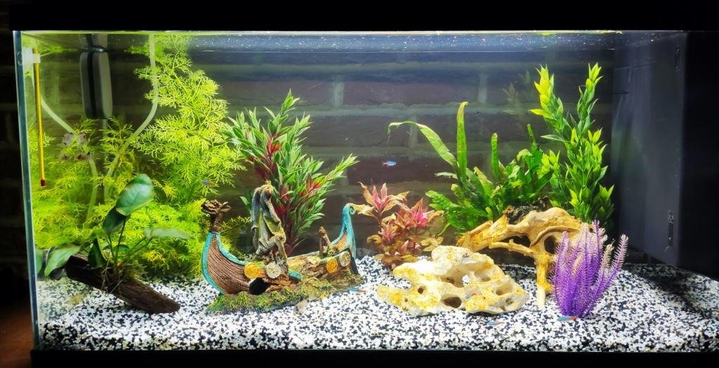 Communautaire de louvecb