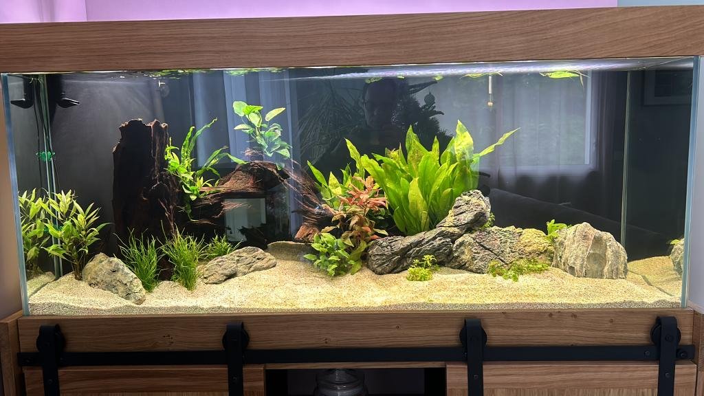 aqua de Julien de Membre inconnu