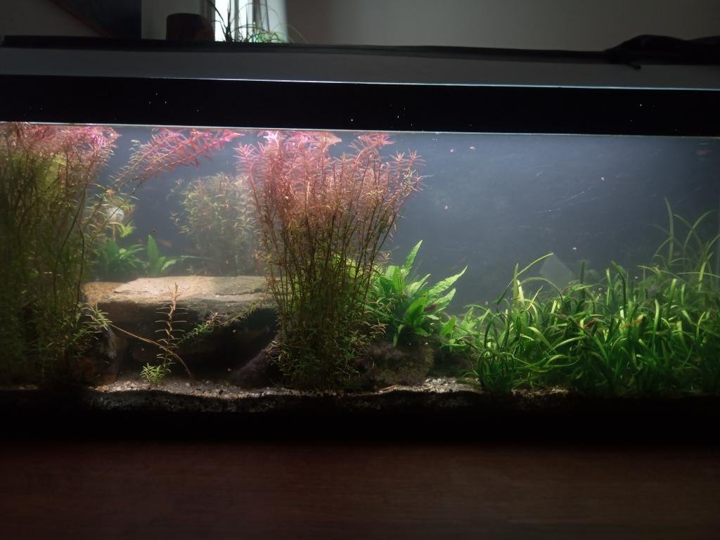 120l salon de Nik000