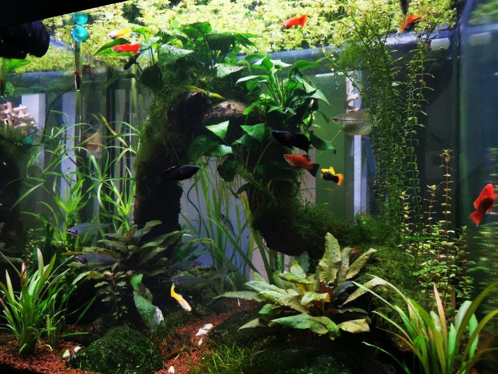 La communauté du 73 de LapprentiDu73