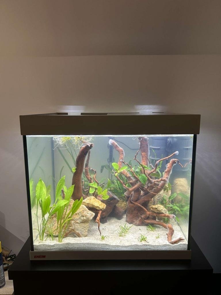 vivaline 150 de aquariumspk