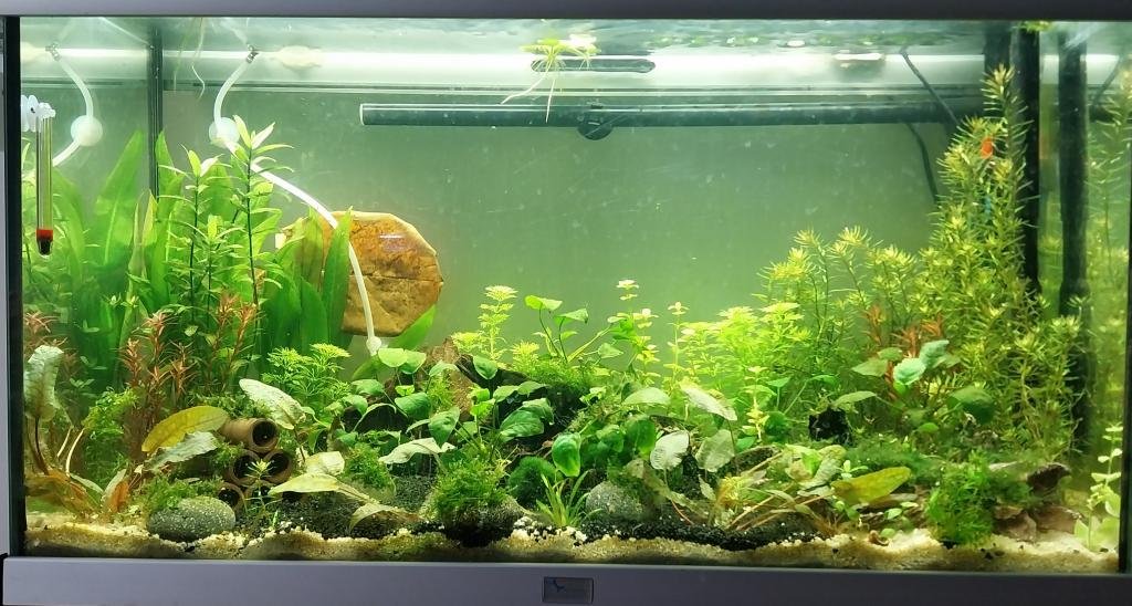 Monde de Yoshi de Yoshi971