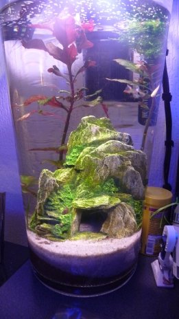 Nano Kikillium de Kikill
