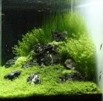 Nirvana de Lupyo de administrateur