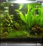 Nano 25l de Leilus