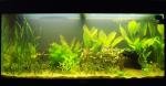 Amazonien 200 l de Trushx