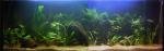 ma p'tite jungle de wilfried63