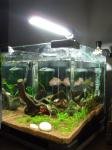 mon nano à moi (30L) de koulapic
