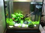 AquaCubic de thib8324
