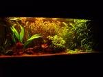 240l très low tech de charlietraffic