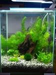 Nano 30l Zolux de Nano AM