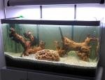 Fluval Osaka 320 de deados