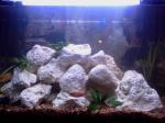 45 Gal US Malawi de yannick88