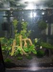 Nano 30L1 de Prudence