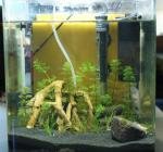 Nano 30L1 de Prudence