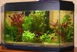 Aquarium 96 litres de alexv95