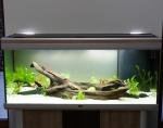 Biotope pseudo-Océanie  de Pumpernickel
