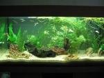 RIO 180 de Aquafun