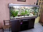 rena 525 litres de sisko28