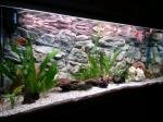 rena 525 litres de sisko28
