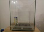 Fluval shui de dlel95