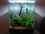Fluval shui de dlel95