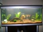 Aquatlantis Ambiance 101 de gummi