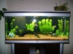Aquatlantis Ambiance 101 de gummi