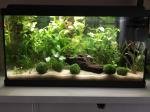 1- Aquantlantis 60L de coolcath