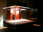 Fluval Edge N de orx57
