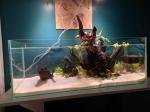Photo aquarium de ppal31