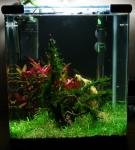 Mon Nano de Itarilda