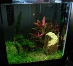 Mon Nano de Itarilda