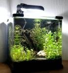 Aqua-Qube 15 de Kuma007