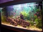 Aquarium 160L de Membre inconnu