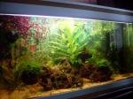 Aquarium 160L de Membre inconnu
