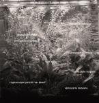 à la Douanier Rousseau de Pecky