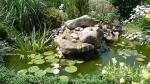bassin d'Echenilly de Kikill