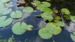 bassin d'Echenilly de Kikill
