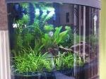 Sera Nano Cube 60 de Mick59320