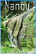 Avatar du membre